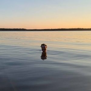 Meet your Posher, Maxence